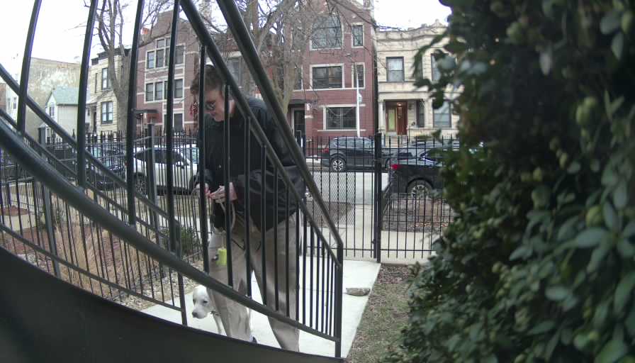 Reolink Camera Two_01_Reolink Home Hub One_20250321172741.jpg